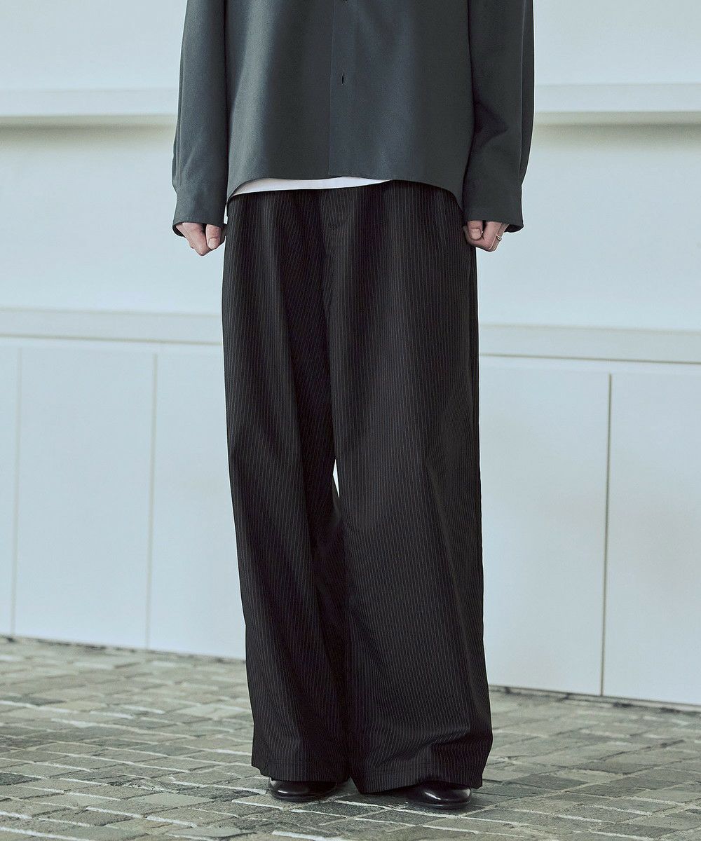 2タックTRストライプワイドストレートパンツ | ASTRONOMY